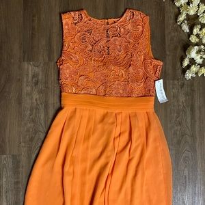 Eva Mendes Orange Lace Cocktail Dress